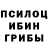 Псилоцибиновые грибы Psilocybe romario 1113