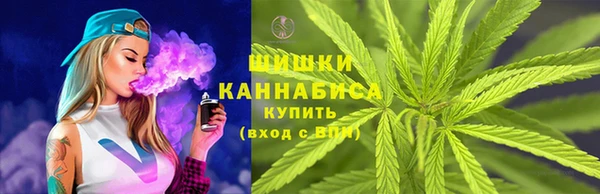 ГАЛЛЮЦИНОГЕННЫЕ ГРИБЫ Заводоуковск